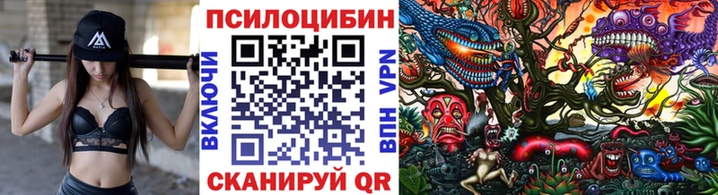 площадка какой сайт  магазин  наркотиков  Фурманов  Псилоцибиновые грибы мухоморы 